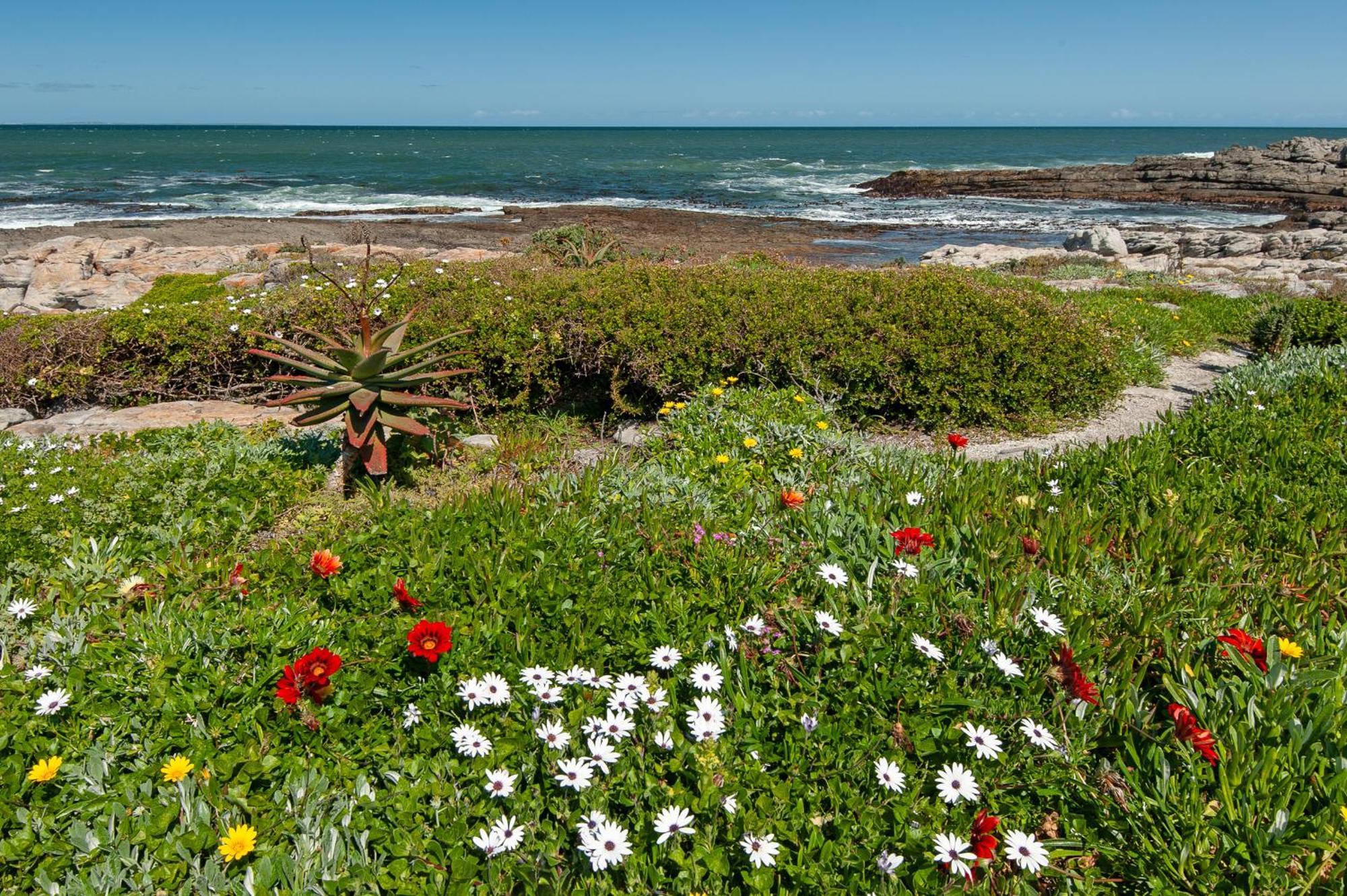 Apartamento 64 Whalerock Estate Hermanus Exterior foto